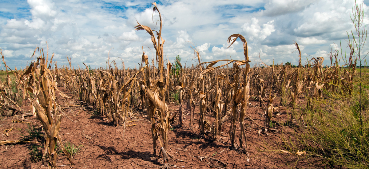 how drought affects people